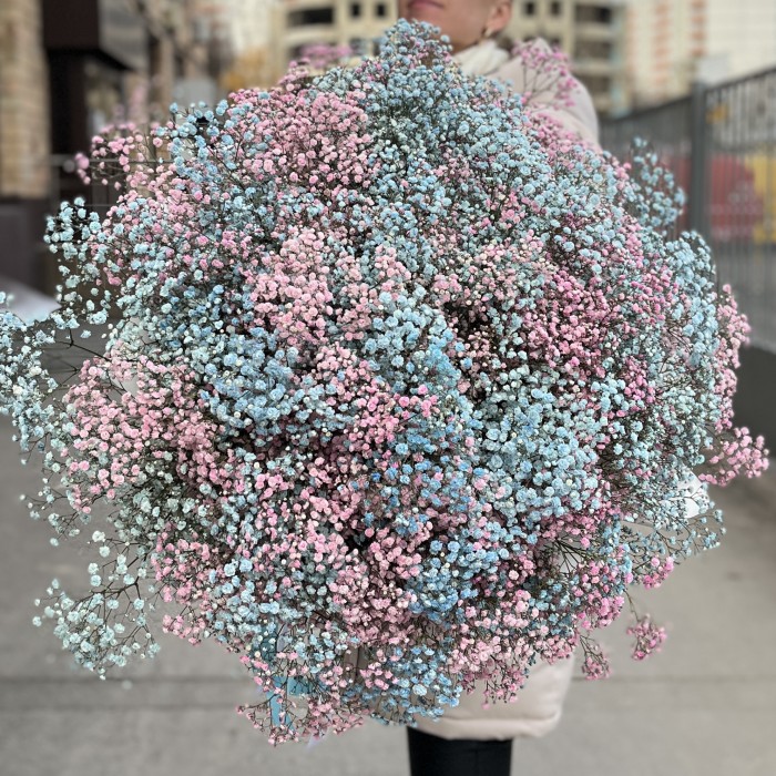 Букет на Гендр Патти  51 гипсофила